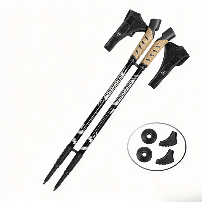 2 adet teleskopik trekking bat - Trekking Pole Carbon incelemesi ve fiyatı