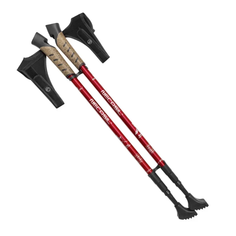 2 adet teleskopik trekking bat - Trekking Pole Carbon incelemesi ve fiyatı